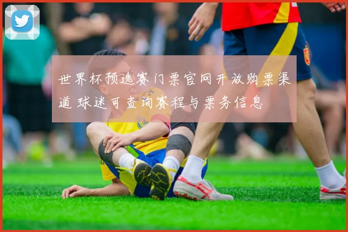 世界杯预选赛门票官网开放购票渠道 球迷可查询赛程与票务信息