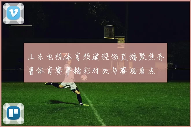 山东电视体育频道现场直播聚焦齐鲁体育赛事精彩对决与赛场看点