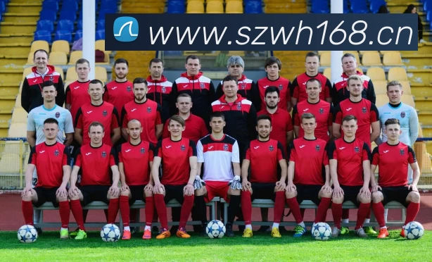 爱游戏ayx登录入口 - 爱游戏(中国)平台生态图